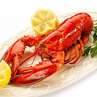 冷冻加拿大波士顿大龙虾净重350-400g/只清蒸红烧食材进口生鲜