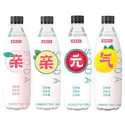 亲亲元气苏打气泡水500ML0糖0脂肪0卡路里无糖饮料12瓶装