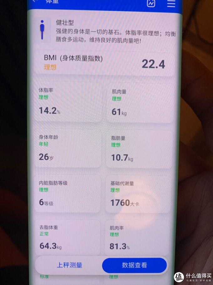 真我健康秤