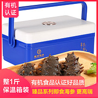 即食海参臻品500g保温箱盒装冷冻生鲜