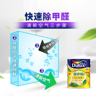 多乐士（Dulux）A8106+A931竹炭森呼吸无添加儿童漆 内墙乳胶漆 油漆涂料 墙面漆套装15L