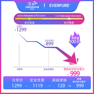 EVERPURE 爱惠浦 净水器家用矿物质净水机厨房直饮自来水过滤器EF-900P