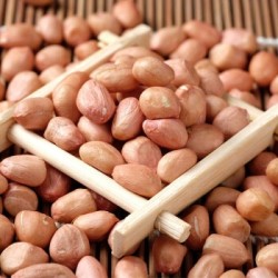 青封铭 新货白沙花生米 3斤