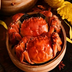 funongtang 富侬堂 大闸蟹 全母2两母蟹 共8只