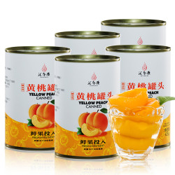 汇尔康 糖水黄桃罐头 425克*5罐 *5件