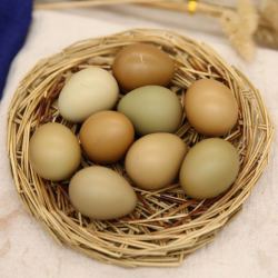 七彩鸡蛋_七彩山土鸡蛋30枚 单个约30克 杂粮散养农家鸡蛋多少钱-什么