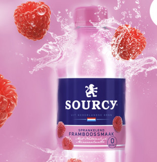 SOURCY 气泡水 树莓味 500ml*24瓶