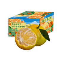 拾枝鲜 广西皇帝柑 单果55-60mm 净重9斤 45-50粒