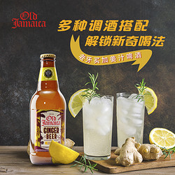 Old Jamaica傲汽姜汁啤酒饮料355ML进口汽水低卡O脂饮品