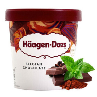 中粮法国直采  哈根达斯比利时巧克力冰淇淋460ml