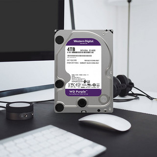 Western Digital 西部数据 机械硬盘 5400rpm 4TB 64MB WD81EJRX