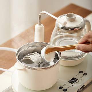 小熊煮茶器0.8升玻璃蒸汽泡茶办公室小型迷你全自动上水电煮茶壶