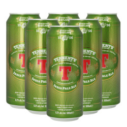 Tennent替牌 英国进口IPA啤酒 组合装500ml*6听装