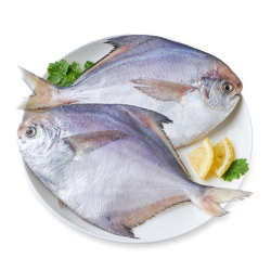 舟山海鲜东海小鲳鱼3斤装68条斤