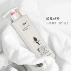 阿道夫(ADOLPH)净屑控油洗发水420ml*2瓶