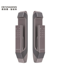 DESSMANN 德施曼 Q6 智能锁