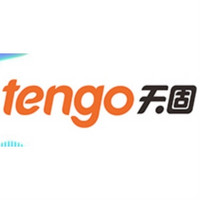 tengo/天固制锁