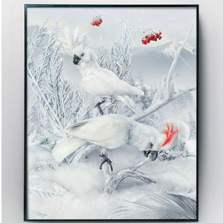 艺术品：瑞典时尚摄影组合 AORTA 摄影作品《凤头鹦鹉》