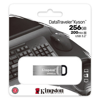 Kingston 金士顿 DataTraveler系列 DTKN USB 3.2 U盘 银色 256GB USB-A