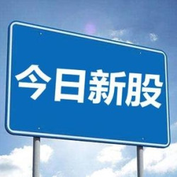 锂电池储能系统商用的厂家——派能科技申购指南，顶格需配市值11万元