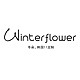 winter flower/冬朵