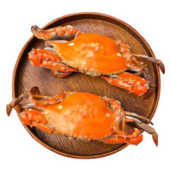 御鲜之王 梭子蟹鲜活 大螃蟹飞蟹海螃蟹 海鲜水产 公蟹肉蟹200-250g/只 2只