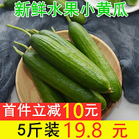 新鲜水果小黄瓜约5斤荷兰无刺脆嫩小青瓜孕妇蔬菜