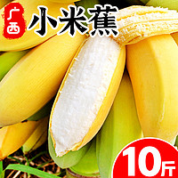广西香蕉新鲜小米蕉水果包邮香焦小香蕉10斤自然熟当季整箱批发