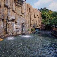 21.9.30前有效！南京汤山紫清湖旅游温泉度假区酒店1晚含双早+温泉门票 *2件