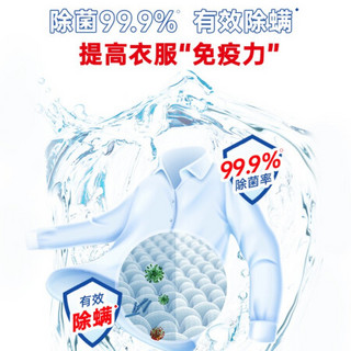 Liby 立白 除菌去渍洗衣液3kg