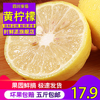 四川安岳黄柠檬5斤新鲜水果包邮精选皮薄一级香水小鲜柠檬青特产