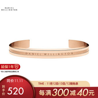 丹尼尔惠灵顿DanielWellington 镯 dw手镯 中号 DW00400141