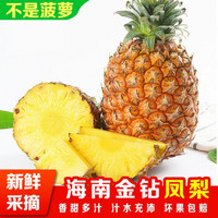 海南金钻凤梨 4.5-5斤 2个装热带水果手撕凤梨非菠萝新鲜水果生鲜 5斤大果（2-3个）