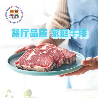 小牛凯西 原肉手工整切牛排套餐进口S级牛肉微腌西冷菲力儿童牛排牛扒生鲜10片1300g