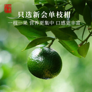 岩冷澜沧古茶 2019年茶妈妈小青柑陈皮普洱茶 新会柑普茶叶罐装 19年航天级小青柑250g