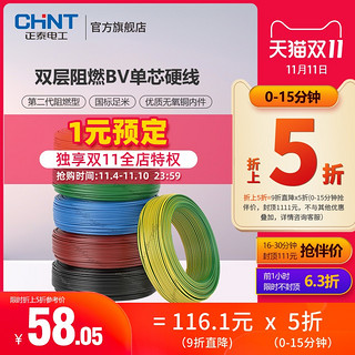 CHNT 正泰 BV1 家用双层阻燃电线 100m