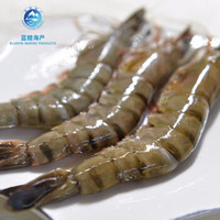 进口新鲜越南活冻大黑虎虾大号850g( 24-26头)海鲜大虾斑节虾大虎虾 黑虎虾 950g(大号 约30g/头 24-26头)