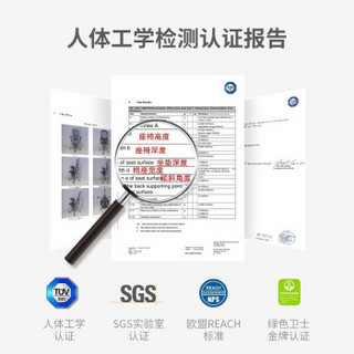 Ergoup 萌芽 人体工学电脑椅 电竞椅家用办公室椅子 老板椅靠背椅网布椅游戏椅升降椅 黑框灰网