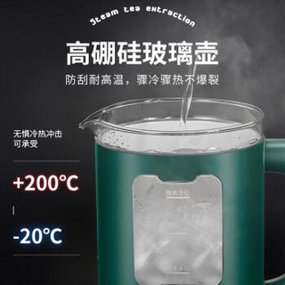 志高（CHIGO）煮茶器全自动喷淋式蒸汽玻璃电热水壶电煮智能保温黑茶壶包胶防烫泡茶养生壶 ZG-Z566祖母绿