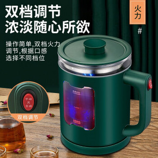 志高（CHIGO）煮茶器全自动喷淋式蒸汽玻璃电热水壶电煮智能保温黑茶壶包胶防烫泡茶养生壶 ZG-Z566祖母绿