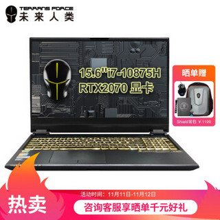 TERRANS FORCE 未来人类 X511 15.6英寸游戏本（i7-10875H、16GB、1TB、RTX 2070）