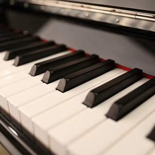 珠江钢琴（PEARLRIVER）新品立式专业成人家庭练习初学者高端钢琴 里特米勒系列UP121RKS