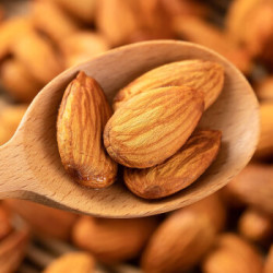 桃李旺 新鲜巴旦木 袋装 1kg *2件