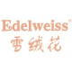 Edelweiss/雪绒花