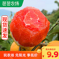 现货中华红血橙2斤当季时令新鲜水果手剥橙子超甜