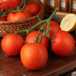 鲜谷果元 迷你普罗旺斯西红柿水果柿 净重四斤装