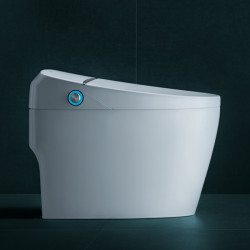 HEGII 恒洁 智能马桶一体机Q8 400mm坑距