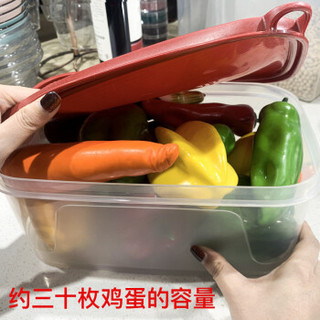 禧天龙citylong冰箱收纳盒塑料保鲜盒储物盒 密封盒生鲜蔬菜水果冷藏冷冻盒 4.3L-手环密封一个装