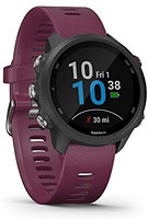 Garmin 佳明 Multisport时钟 Forerunner 245 GPS