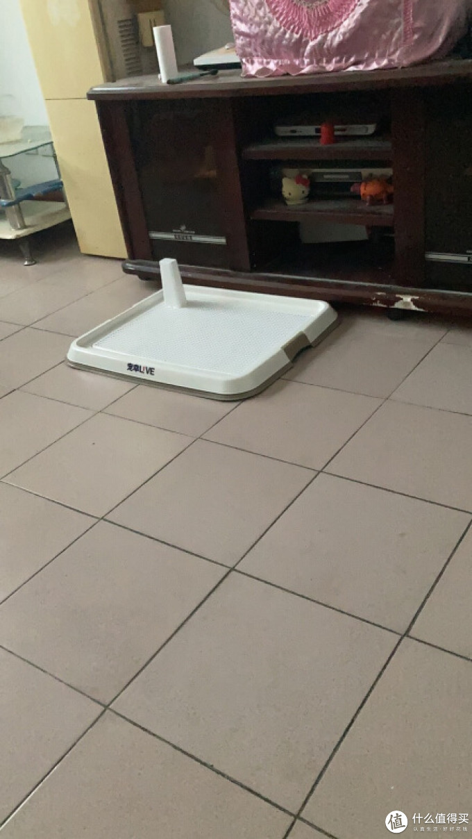 宠幸猫砂盆
